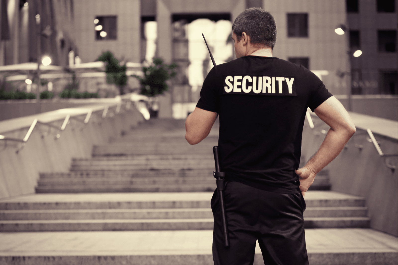 WR_Weisberg_Theft_2_2.12.24